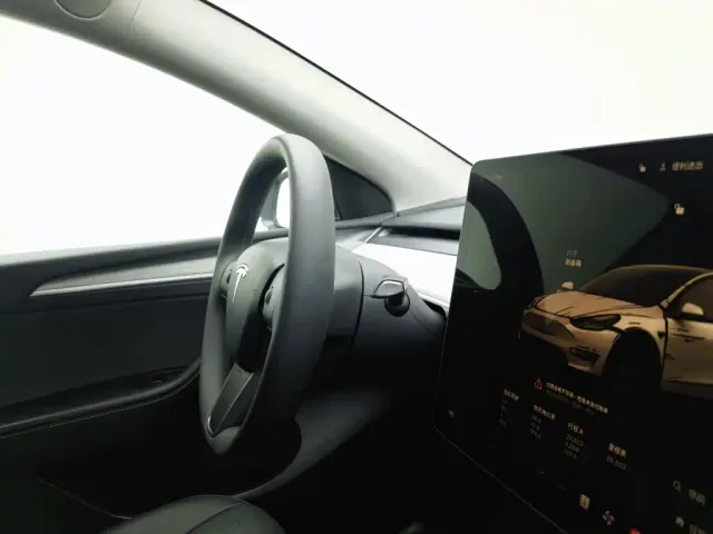 Tesla Model Y — Фото автомобиля 22