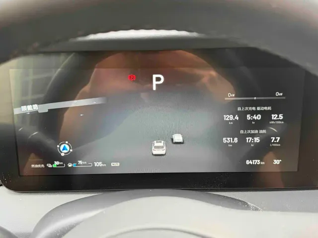 Li Auto Li ONE 2021 Extended Range 6-Seater — Фото автомобиля 14