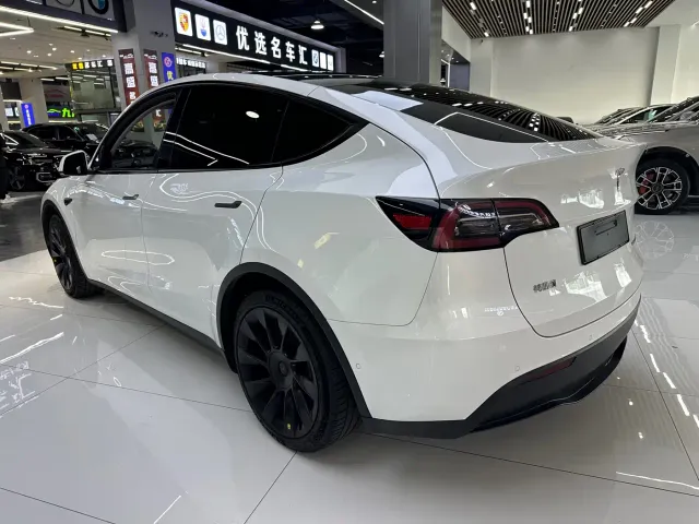 Tesla Model Y — Фото автомобиля 20