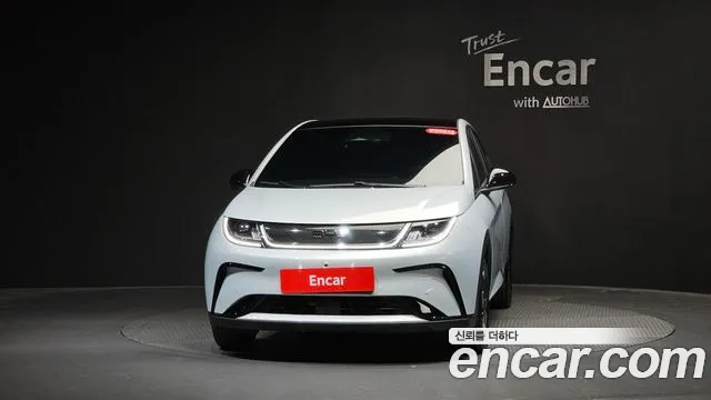 BYD Dolphin — Фото автомобиля 2