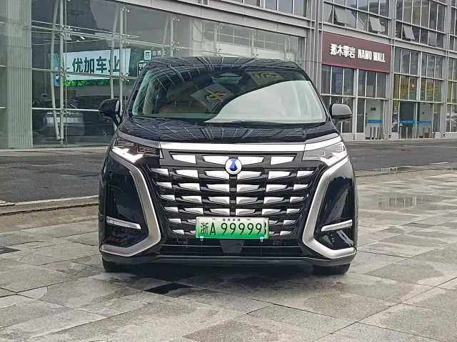 Denza D9 — Фото автомобиля 2