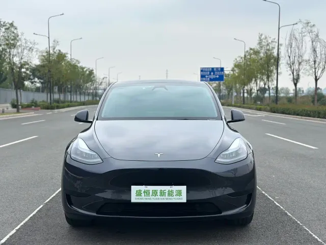 Tesla Model Y — Фото автомобиля 9
