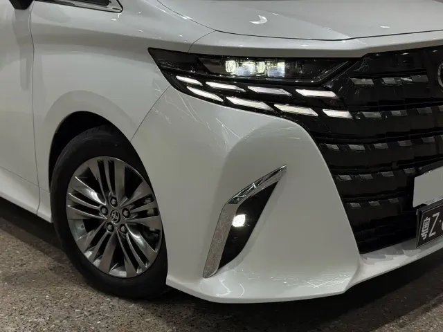 Toyota Alphard — Фото автомобиля 22