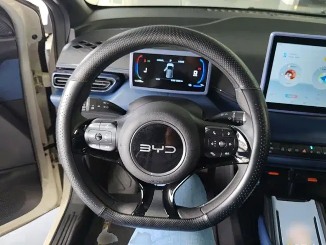 BYD Seagull — Фото автомобиля 10
