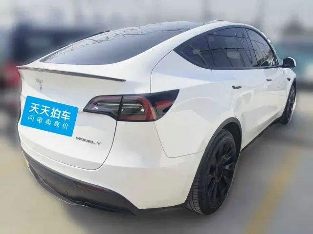 Tesla Model Y — Фото автомобиля 2