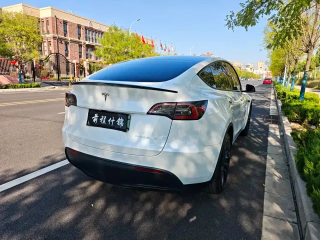 Tesla Model Y — Фото автомобиля 3