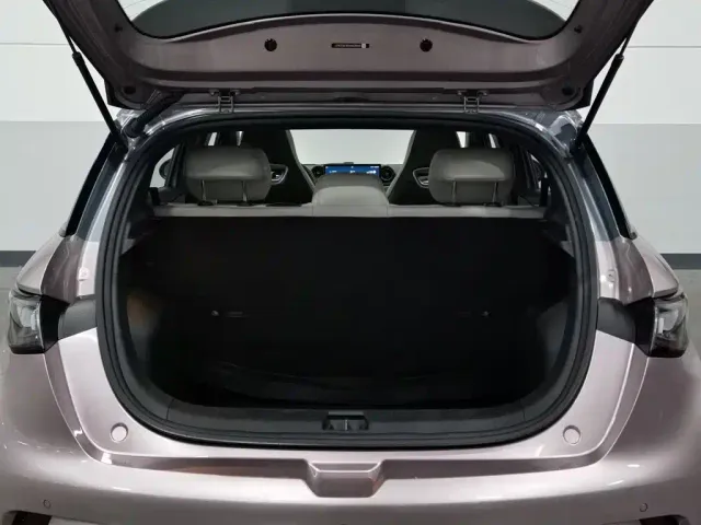 BYD Dolphin — Фото автомобиля 16
