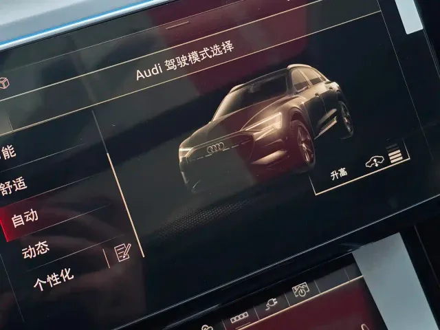 Audi e-tron — Фото автомобиля 24