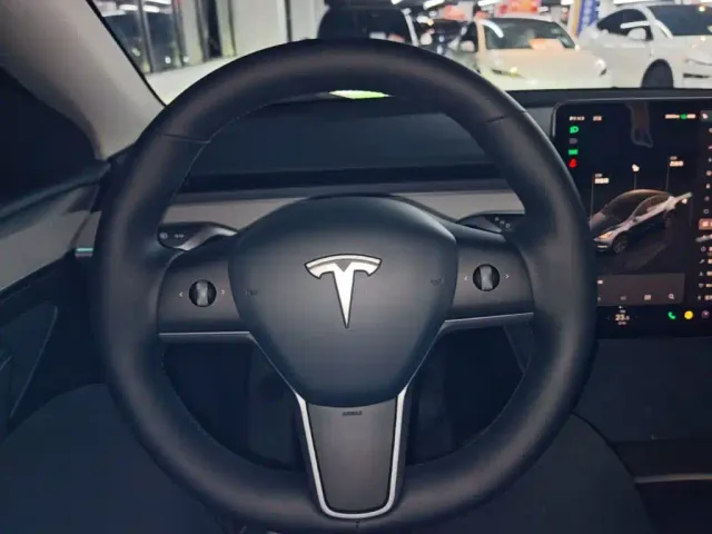 Tesla Model Y — Фото автомобиля 10