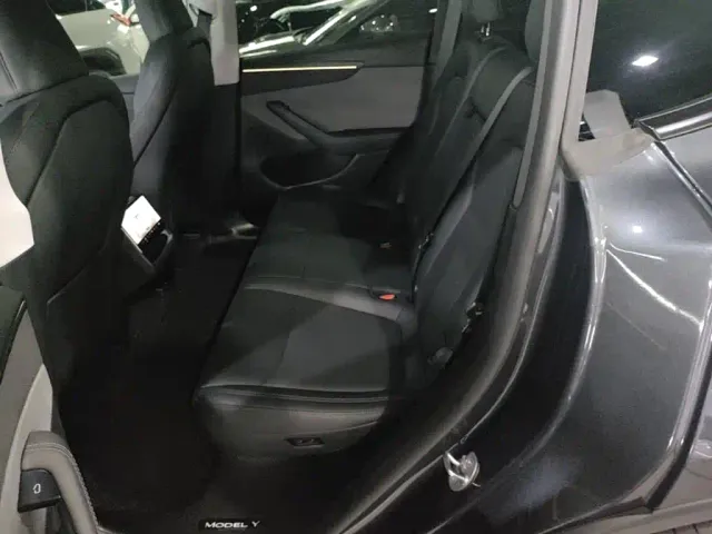 Tesla Model Y — Фото автомобиля 16