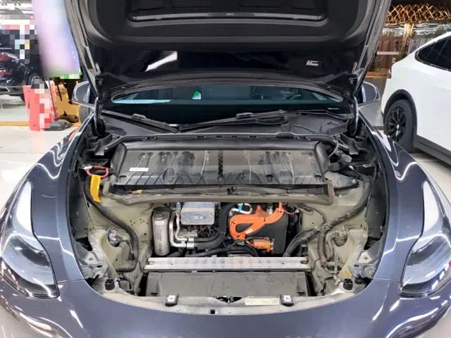 Tesla Model Y — Фото автомобиля 19