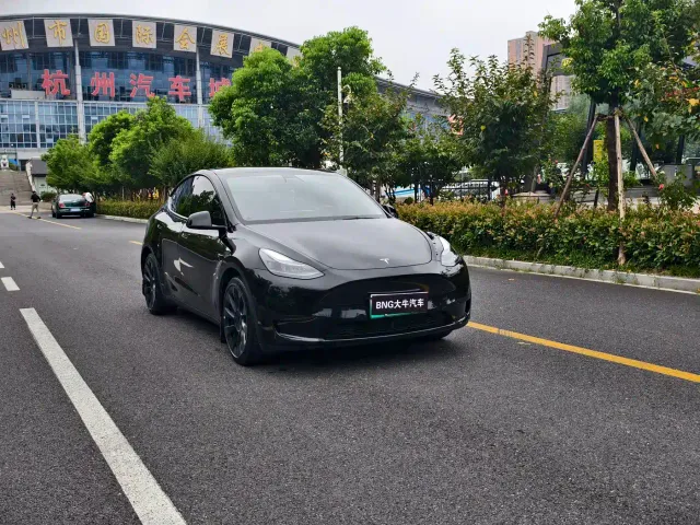 Tesla Model Y — Фото автомобиля 3