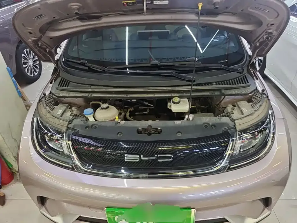BYD Dolphin 2021 Model 405km Fashion Edition — Фото автомобиля 19