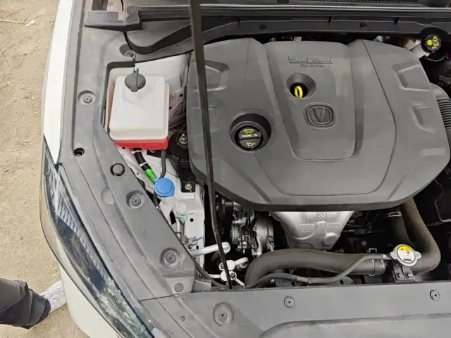 Changan Eado — Фото автомобиля 20