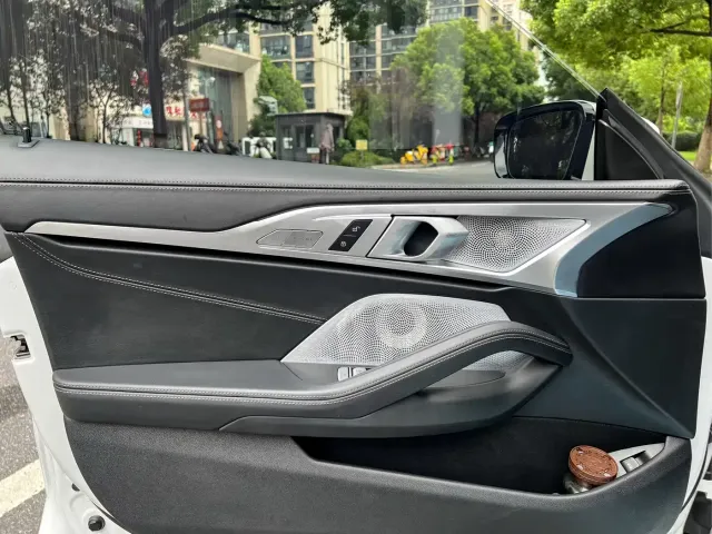 BMW 8 Series — Фото автомобиля 14