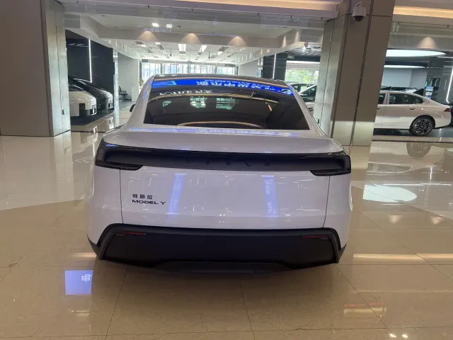 Tesla Model Y — Фото автомобиля 6