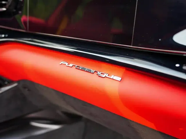 Ferrari Purosangue — Фото автомобиля 15
