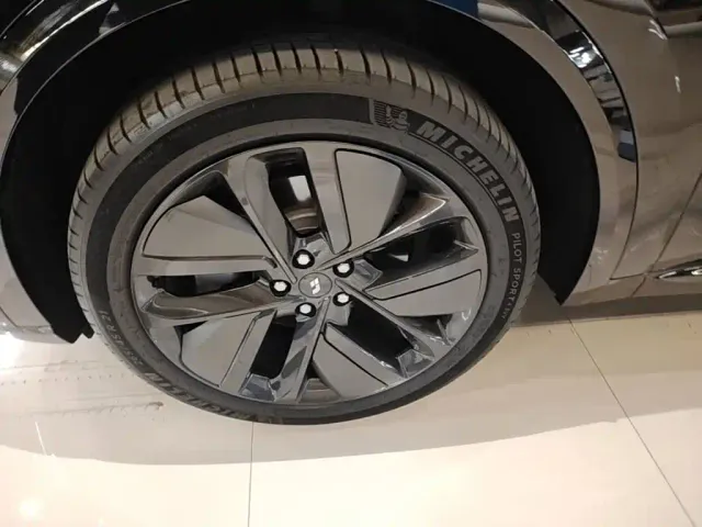 Li Auto L9 — Фото автомобиля 22