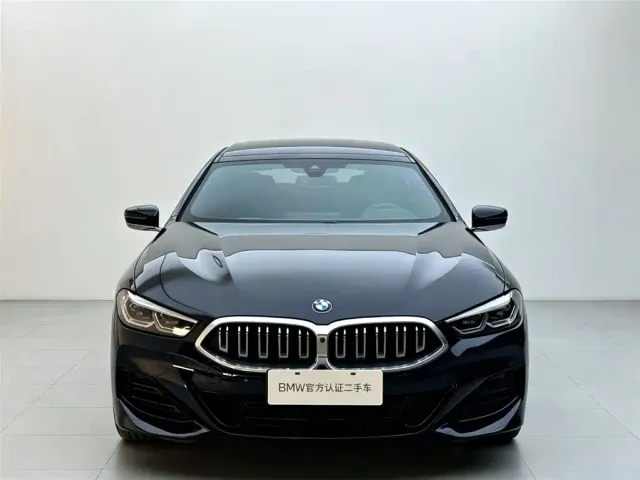 BMW 8 Series — Фото автомобиля 2