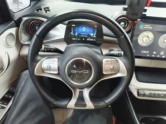 BYD Dolphin — Фото автомобиля 10