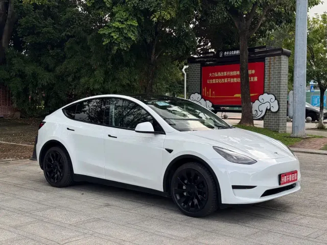 Tesla Model Y — Фото автомобиля 3