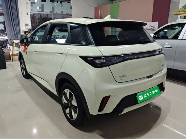 BYD Dolphin — Фото автомобиля 4
