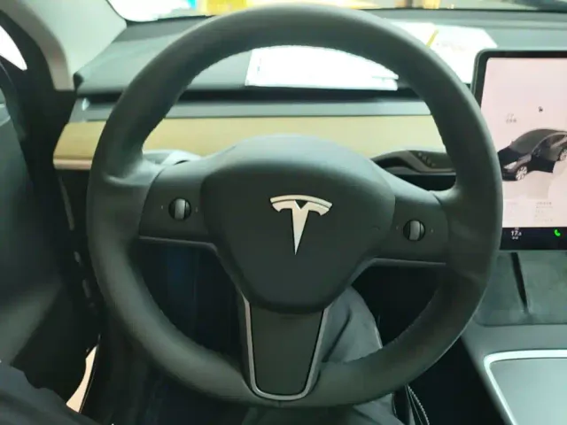 Tesla Model Y — Фото автомобиля 10