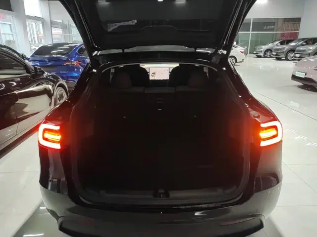 Tesla Model Y — Фото автомобиля 18