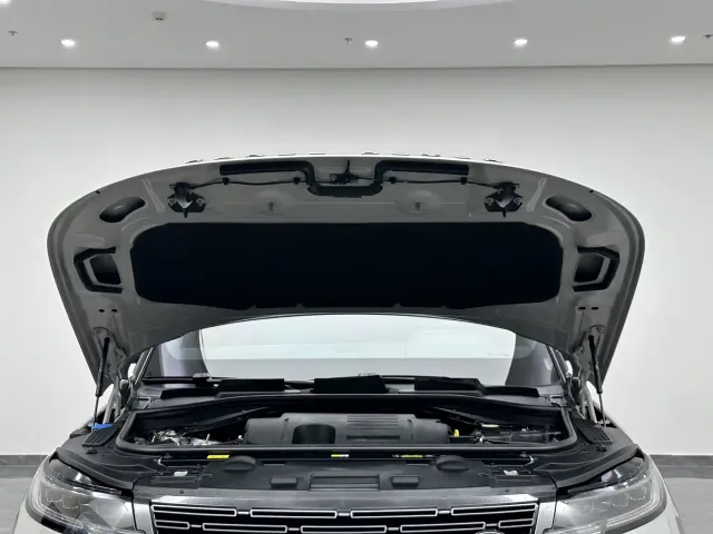 Land Rover Range Rover Sport — Фото автомобиля 22