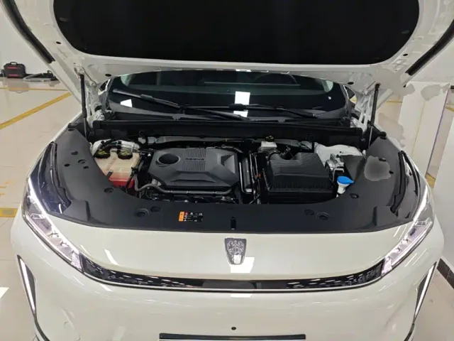 Roewe D5X DMH — Фото автомобиля 19