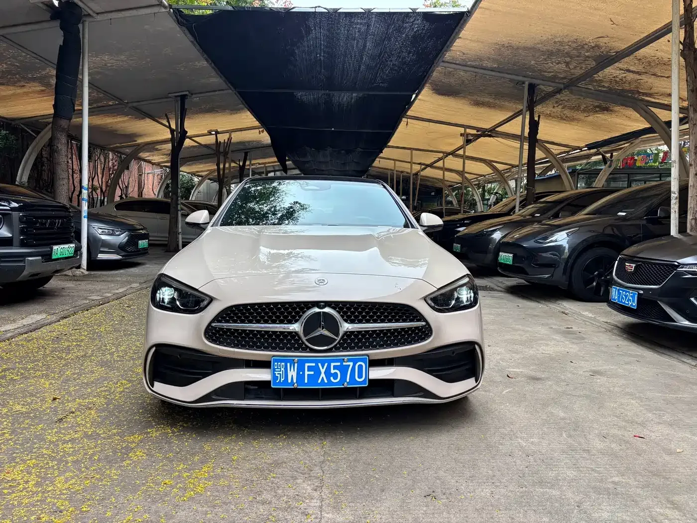 Mercedes-Benz Mercedes-Benz C-Class 2025 C 260 L Sport Edition — Фото автомобиля 3