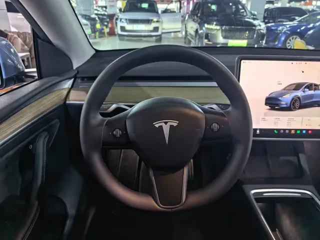 Tesla Model Y — Фото автомобиля 7
