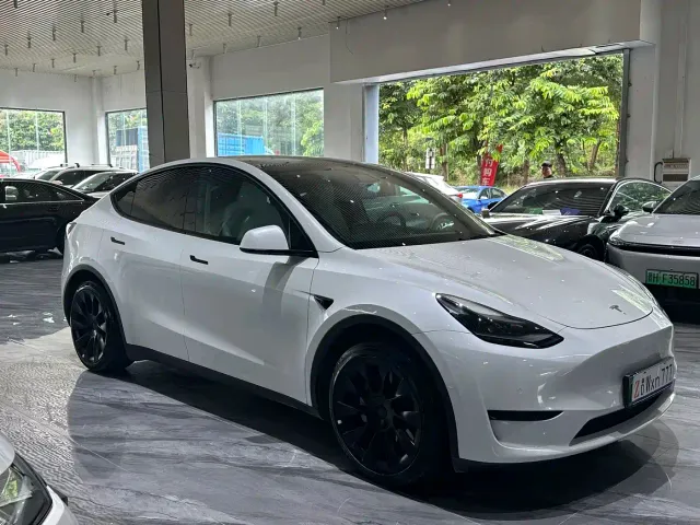 Tesla Model Y — Фото автомобиля 3