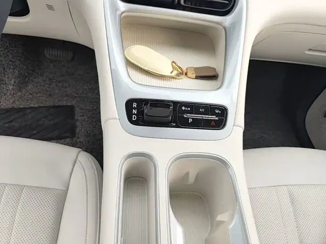 Geely Starry Wish — Фото автомобиля 13