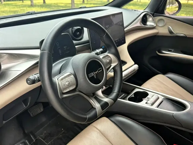 BYD Dolphin — Фото автомобиля 12