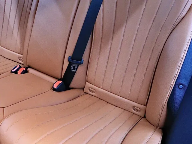 Mercedes-Benz S-Class — Фото автомобиля 14