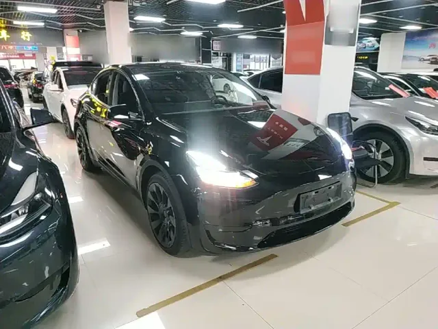 Tesla Model Y — Фото автомобиля 3