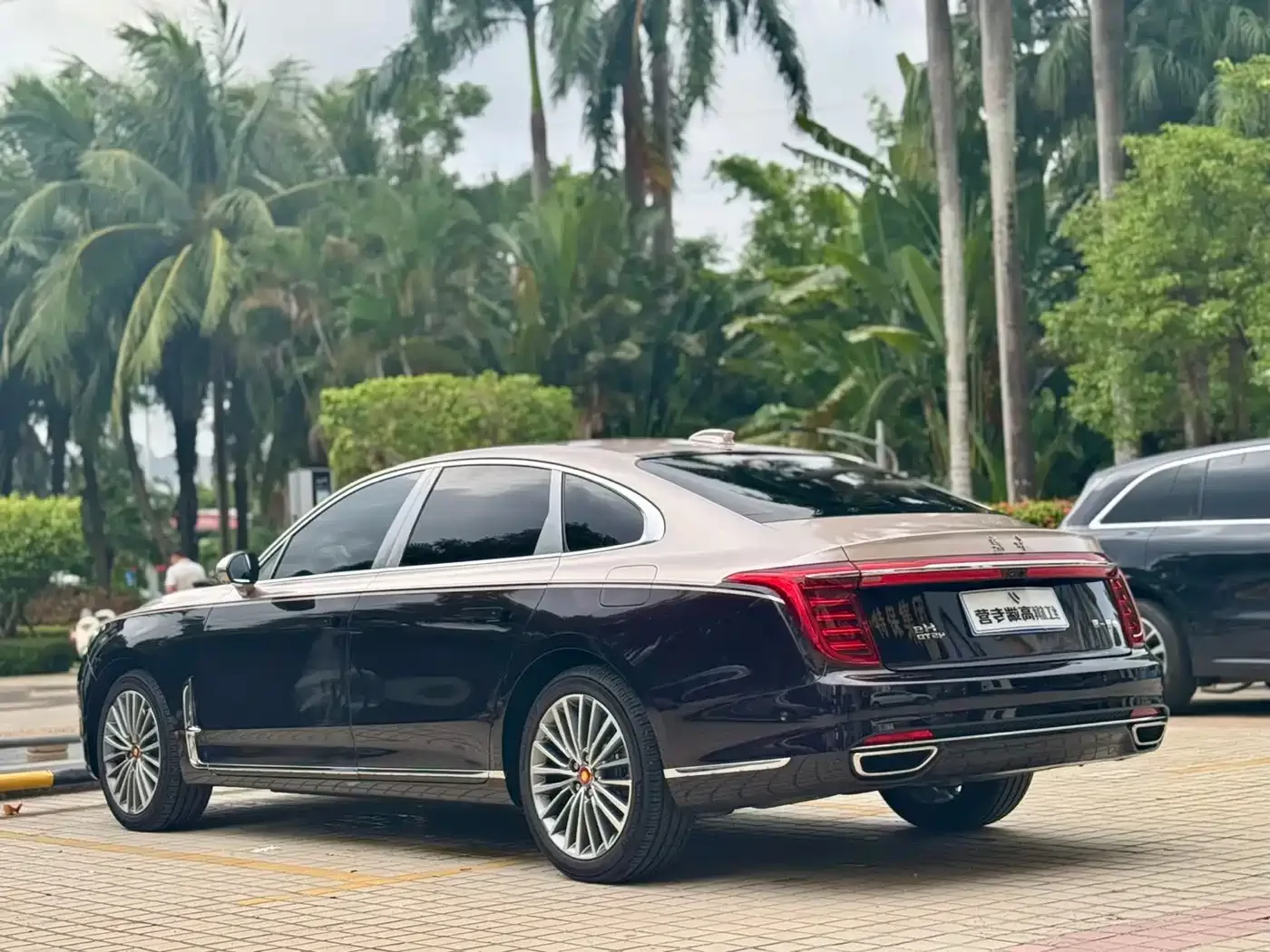 Hongqi Hongqi H9 2020 Facelift 2.0T Smart Connect Flagship — Фото автомобиля 22