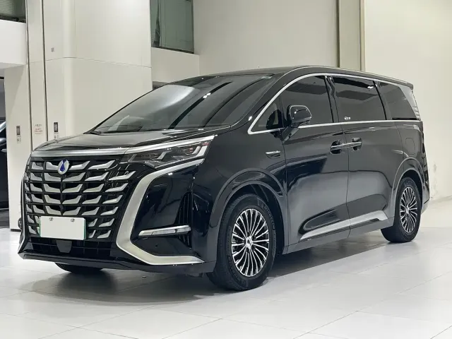 Фотография автомобиля — Denza D9