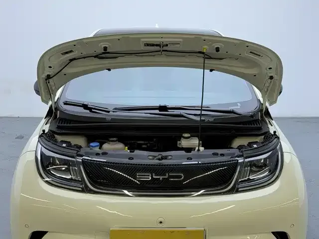 BYD Dolphin — Фото автомобиля 15