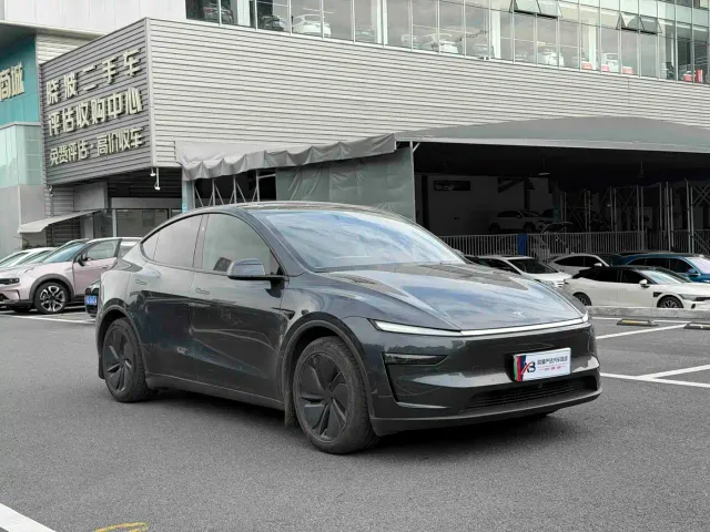 Tesla Model Y — Фото автомобиля 3