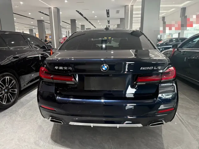 BMW 5 Series — Фото автомобиля 8