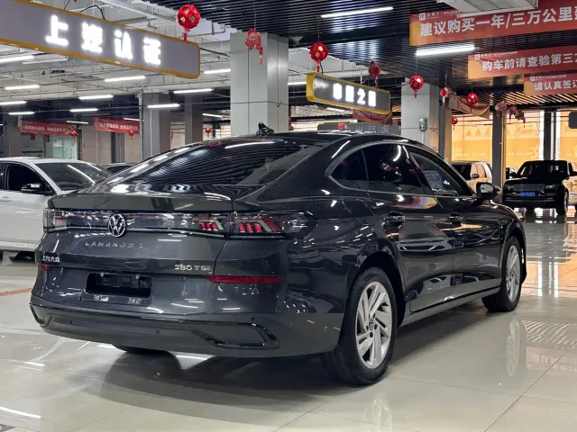 Volkswagen Lamando — Фото автомобиля 4