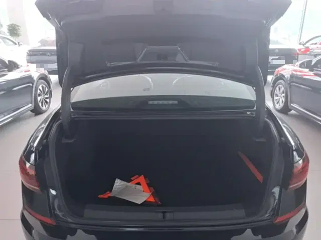 Volkswagen Passat — Фото автомобиля 18