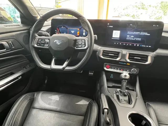 Ford Mustang — Фото автомобиля 29