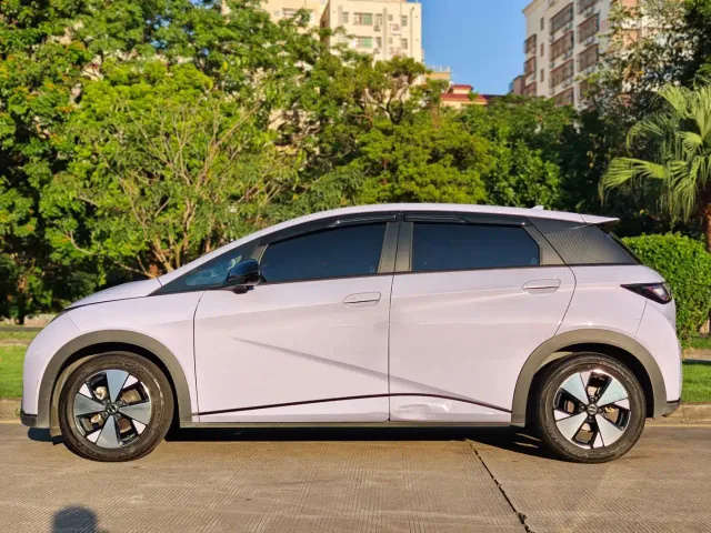 BYD Dolphin — Фото автомобиля 5