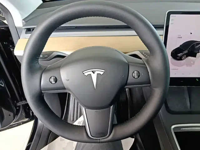 Tesla Model Y — Фото автомобиля 10