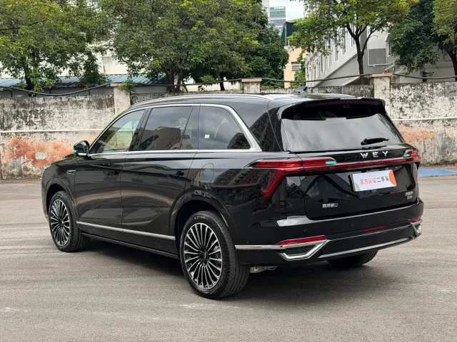 Wey Lanshan — Фото автомобиля 12