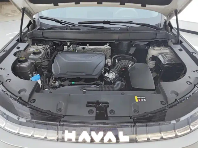 Haval Xiaolong MAX — Фото автомобиля 10