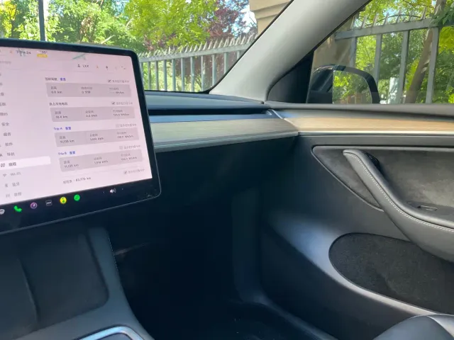 Tesla Model Y — Фото автомобиля 11